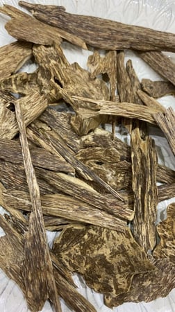 عود كلمنتان