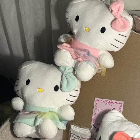 بوكس هالوكيتي