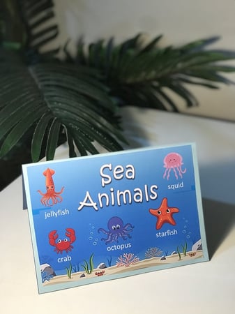 مطوية الانجليزي ( حيوانات البحر )