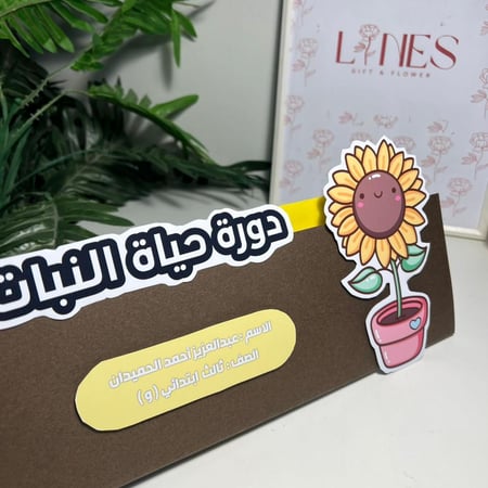 مطوية دورة حياه النبات