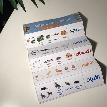 مطوية العلوم  ( دورات حياة الحيوانات ) بدون اسم