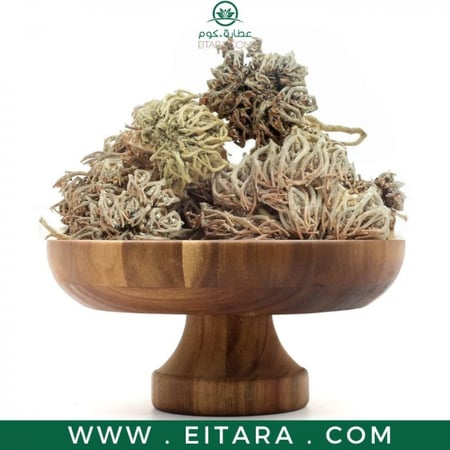 عشبة كف مريم