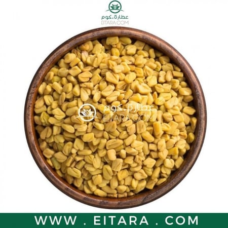 حلبة قصيمية