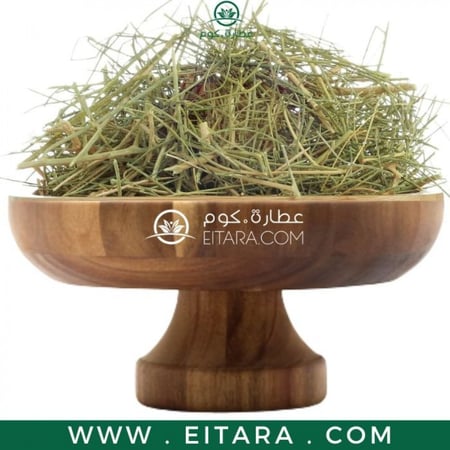 عشبة المدينة