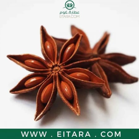 نجمة اليانسون
