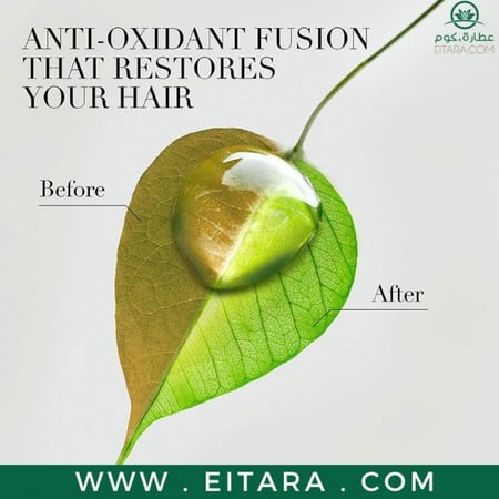 شامبو زيت جولدن مورينجا المجدد للنعومة من هيربل ايسنسز بيو رينيو 400 م