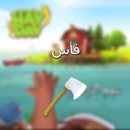 1000 فاس | هاي داي