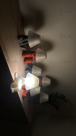 مصباح خجول | SHY