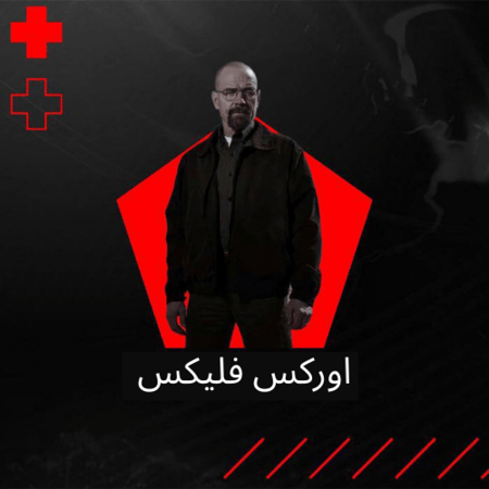 أشتراك اوركس فلكس I شهر I شاشة