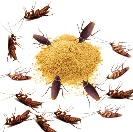 مبيد الحشرات