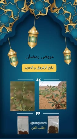 بكج الرقروق والجريد