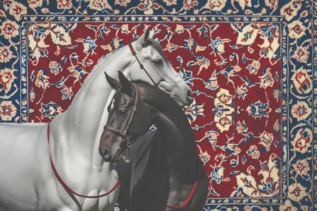 سجادة حائط للمقاهي