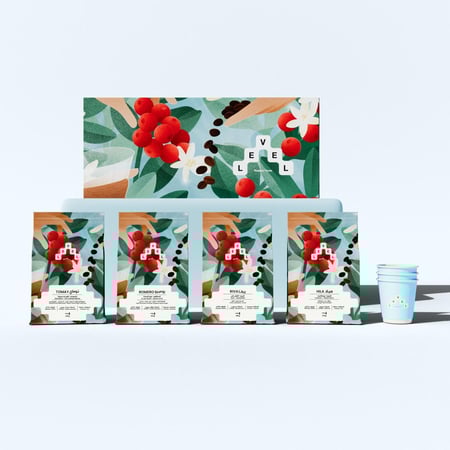 بوكس الحمصة الأولى