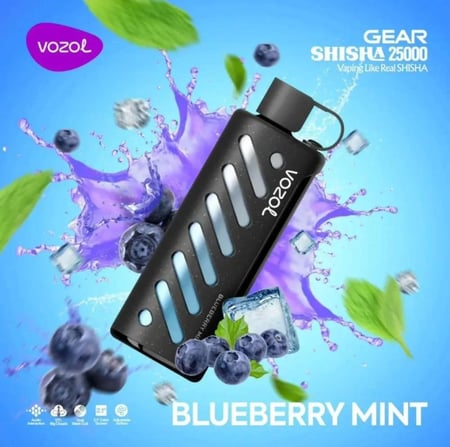 فوزول قير شيشة 25000 - Vozol Gear Shisha 3-5mg