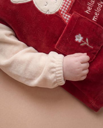 : فستان بيبي مخمل شتوي مطرز ارنوبة تتكئ علي نافذة + جيبين مطرزين ازهار