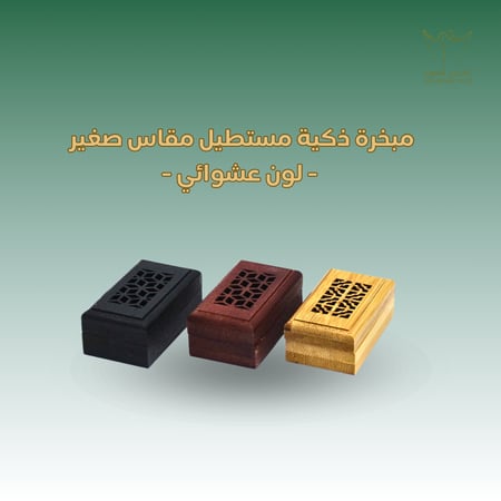 مبخرة ذكية - مقاس صغير - لون عشوائي