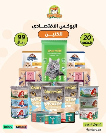 البوكس الاقتصادي للقطط الصغيرة