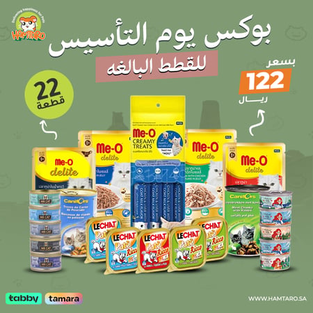بوكس التأسيس الاقتصادي للقطط البالغة