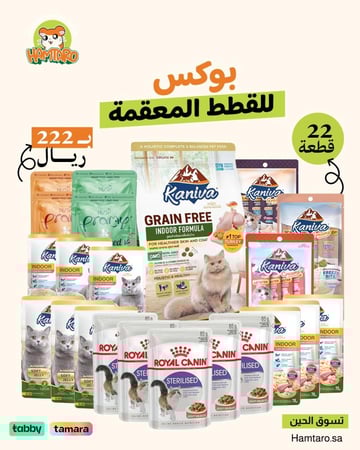 بوكس التاسيس للقطط المعقمه