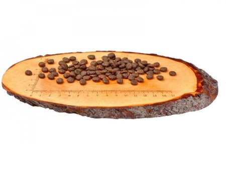 كارنيلوف طعام جاف للقطط البالغة بالدجاج والأرنب