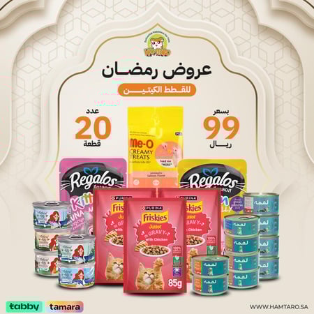 البوكس الاقتصادي للقطط الصغيرة