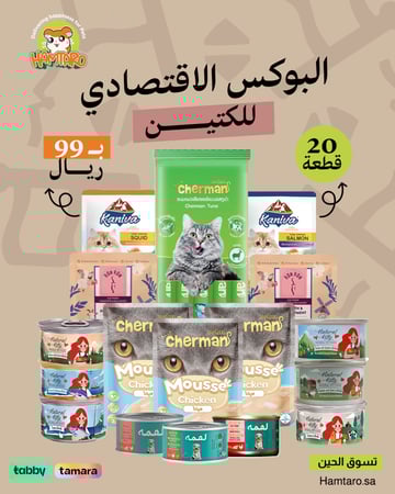 البوكس الاقتصادي للقطط الصغيرة