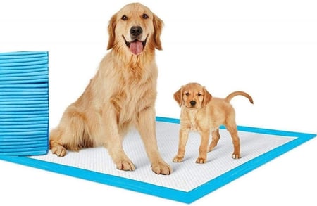 فرش تدريب 30 حبة 1