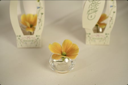 توزيعات العيد اصفر .