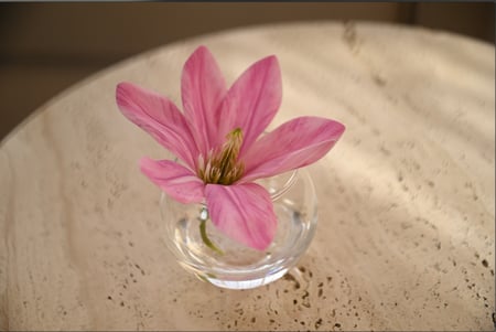 صينة توزيعات 12 فازه