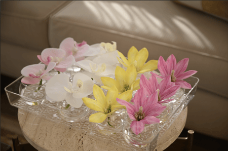 صينة توزيعات 12 فازه