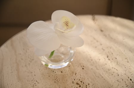 صينة توزيعات 12 فازه