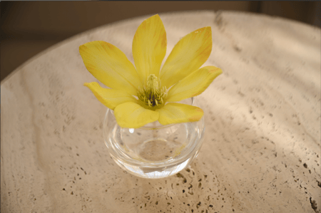 صينة توزيعات 12 فازه