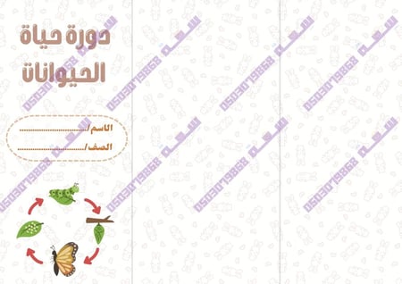 مطوية دورة حياة الحيوانات ثالث ابتدائي pdf