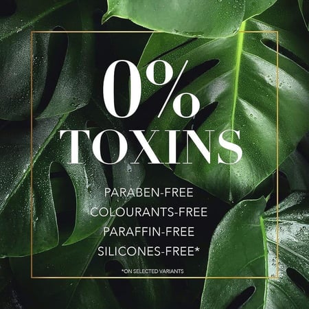 هيربل اسينسز شامبو بماء ميسلر والزنجبيل الأزرق  400 مل