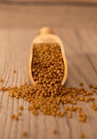 منيور سيتاكوس