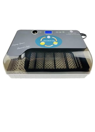 فقاسة 12 بيضة