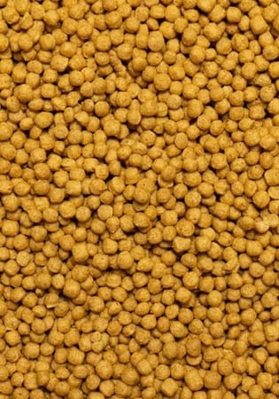 غذاء ببغاوات متوسطه فيشر روز كروان كنيور ميني سيتاكوس PSITTACUS MINI