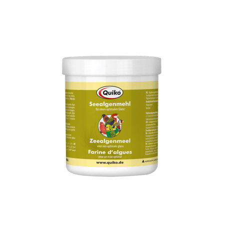 مسحوق الطحالب البحرية