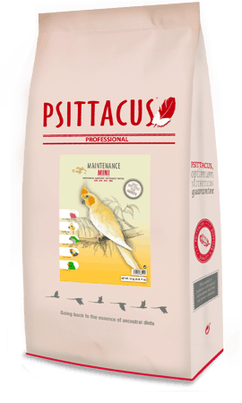 غذاء ببغاوات متوسطه فيشر روز كروان كنيور ميني سيتاكوس PSITTACUS MINI