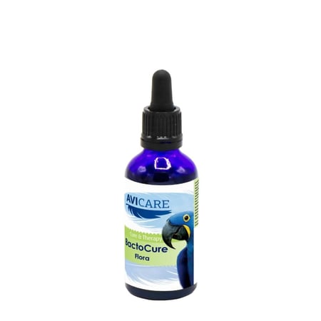 أفيكير باكتو كيور 50 مل – لدعم الفلورا المعوية ومقاومة البكتيريا