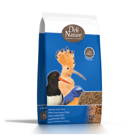 باتيه الدود والحشرات الغني بالبروتين