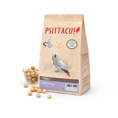 غذاء ببغاء سيتاكوس (Psittacus) عالي الطاقة
