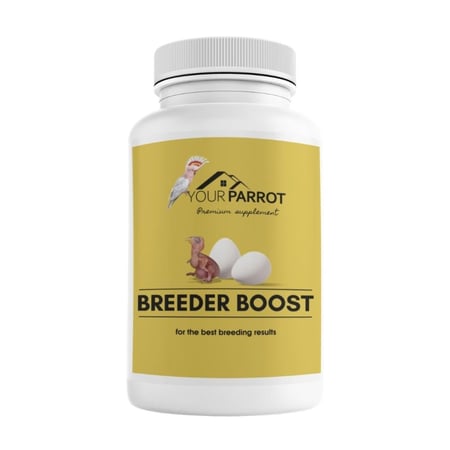 يور باروت - مكمل غذائي  BREEDER BOOST داعم  Your Parrot
