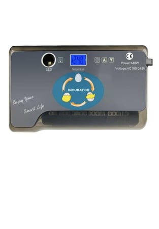 فقاسة 12 بيضة