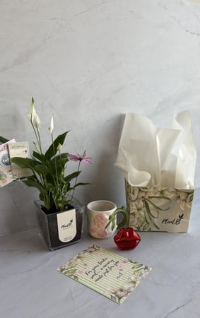 بكج White Whisper