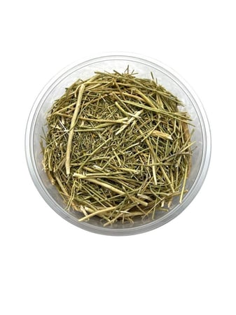 عشبة المدينة علبة