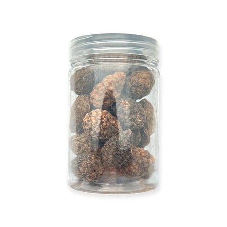 عشبة القبار المغربي