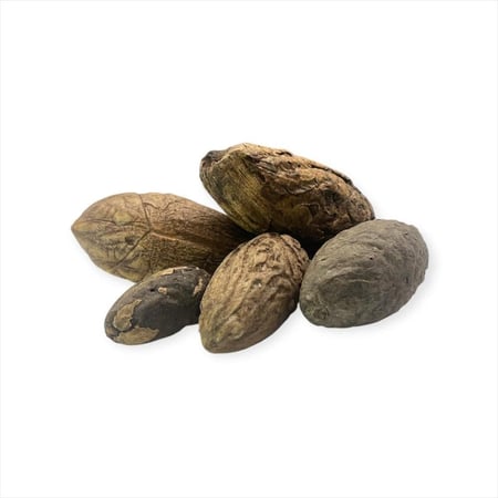 عود الصليب الحجري الفوانياء