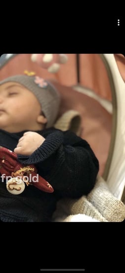 بروش صدف الغزال مطلي ذهب المقاس الصغير