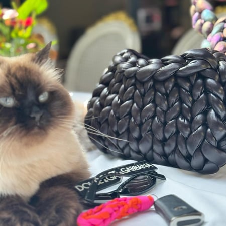 BlackBerry Bag